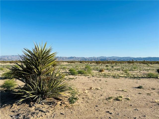 1974 Sunset, Joshua Tree, CA 92252