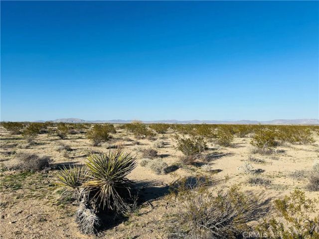 1974 Sunset, Joshua Tree, CA 92252
