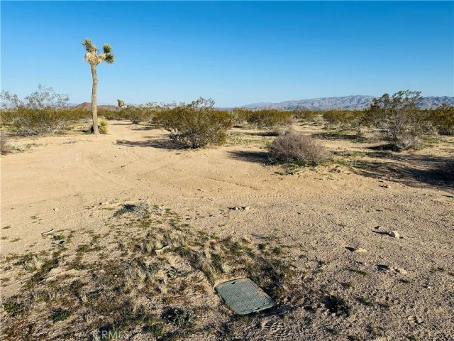 1974 Sunset, Joshua Tree, CA 92252
