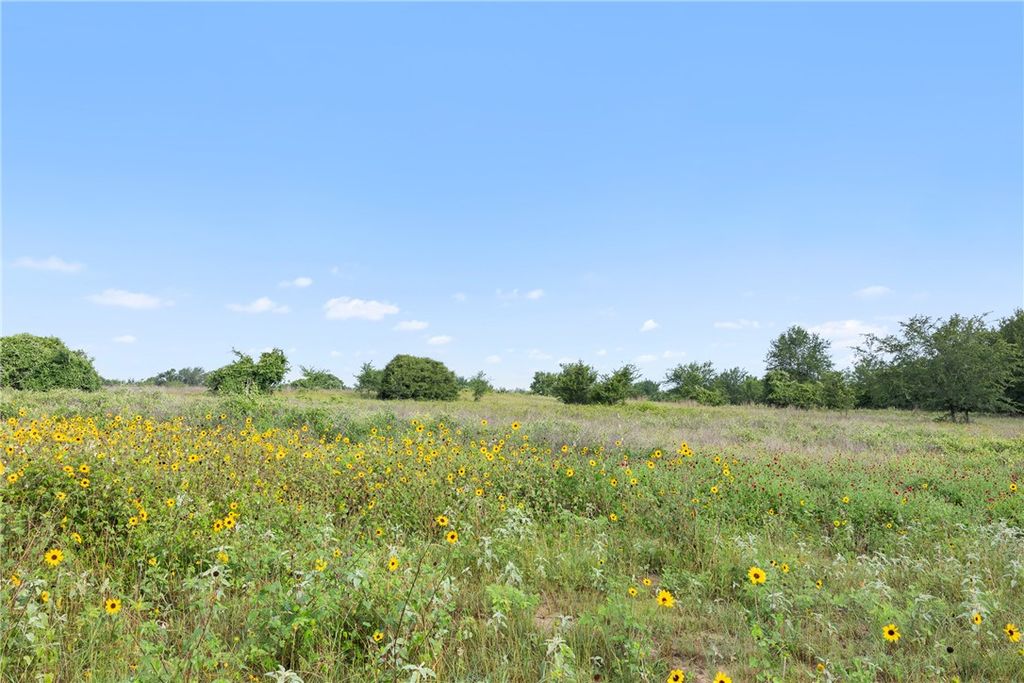 5241 County Road 358, Caldwell, TX 77836 — photo 2