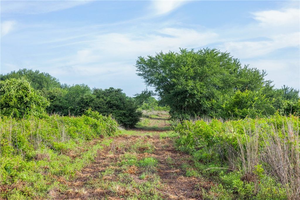 5241 County Road 358, Caldwell, TX 77836 — photo 3