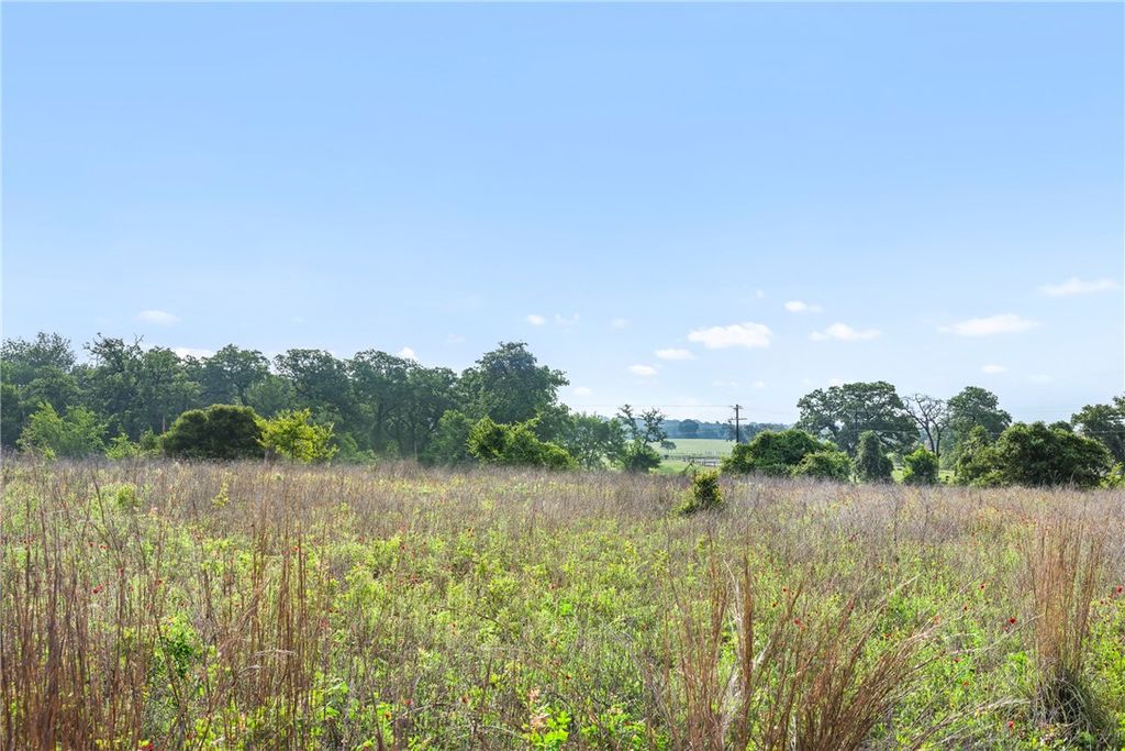 5241 County Road 358, Caldwell, TX 77836 — photo 4