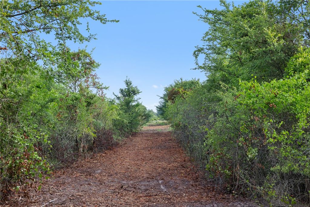 5241 County Road 358, Caldwell, TX 77836 — photo 5