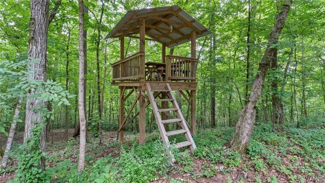 7900 Rainey, Tuscaloosa, AL 35453