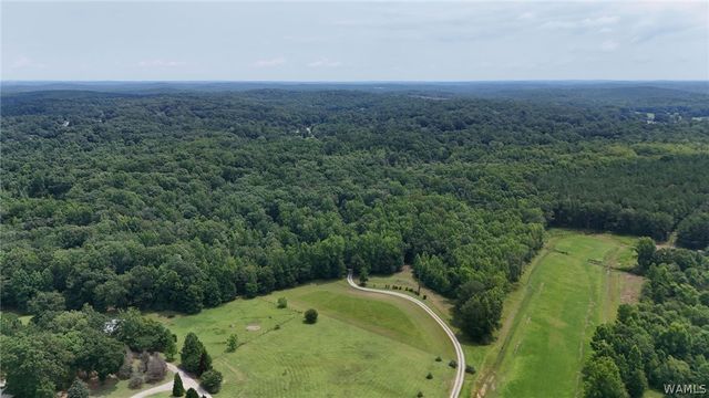 7900 Rainey, Tuscaloosa, AL 35453