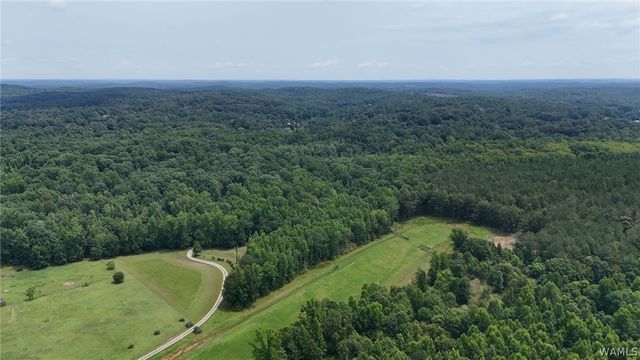 7900 Rainey, Tuscaloosa, AL 35453
