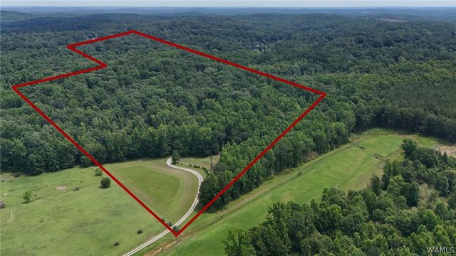 7900 Rainey, Tuscaloosa, AL 35453