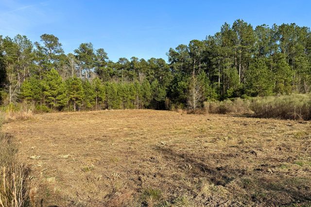 1321 Wood Sorrel Drive, Moncks Corner, SC 29461
