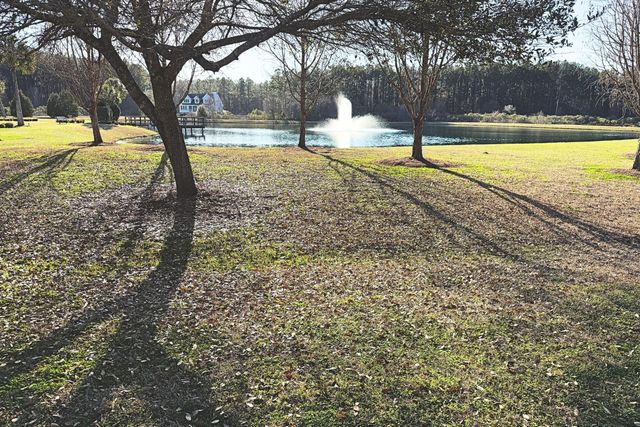 1321 Wood Sorrel Drive, Moncks Corner, SC 29461