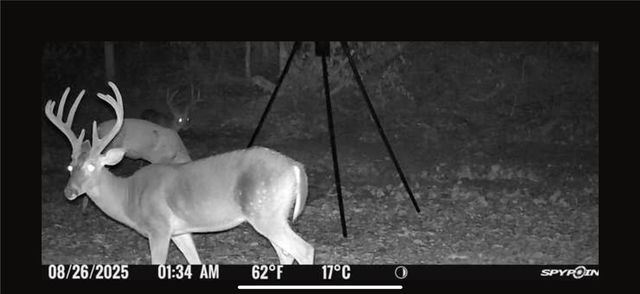 3AC (Tract 5) Sallie Drive, Rogers, AR 72756