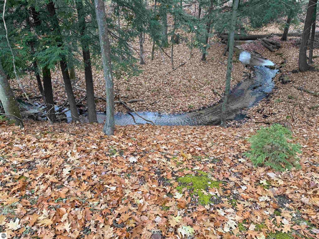 Image 19 of property listing at 9544 W 34 Road, Harrietta, MI 49638