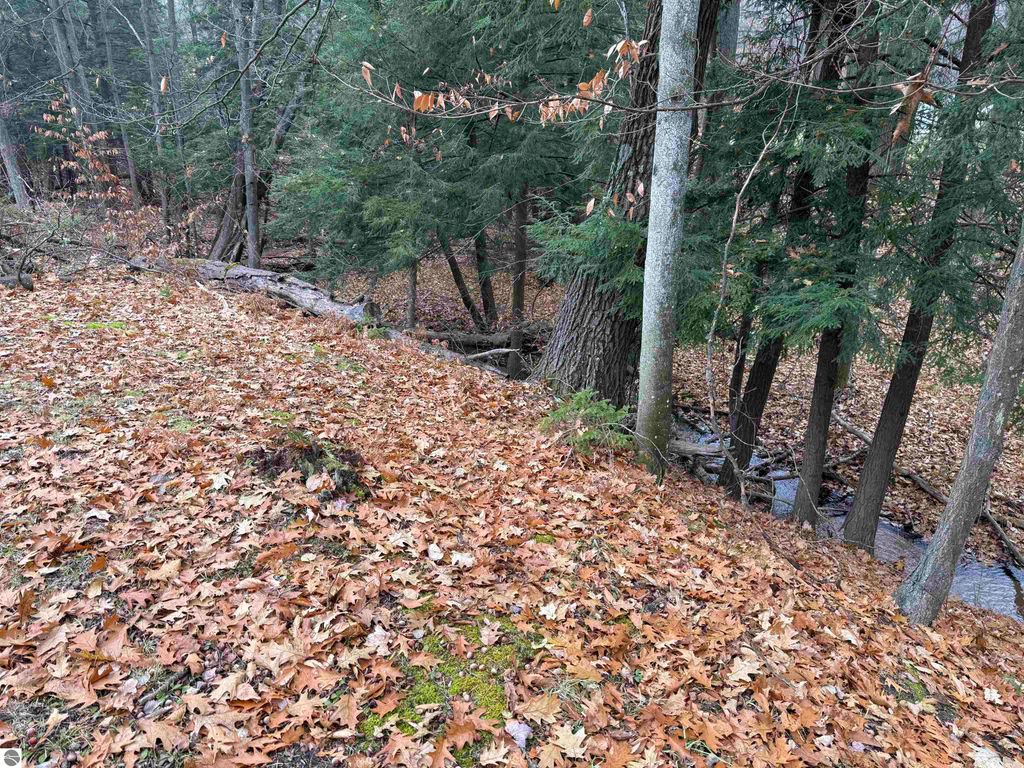 Image 20 of property listing at 9544 W 34 Road, Harrietta, MI 49638