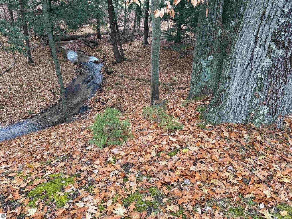 Image 21 of property listing at 9544 W 34 Road, Harrietta, MI 49638