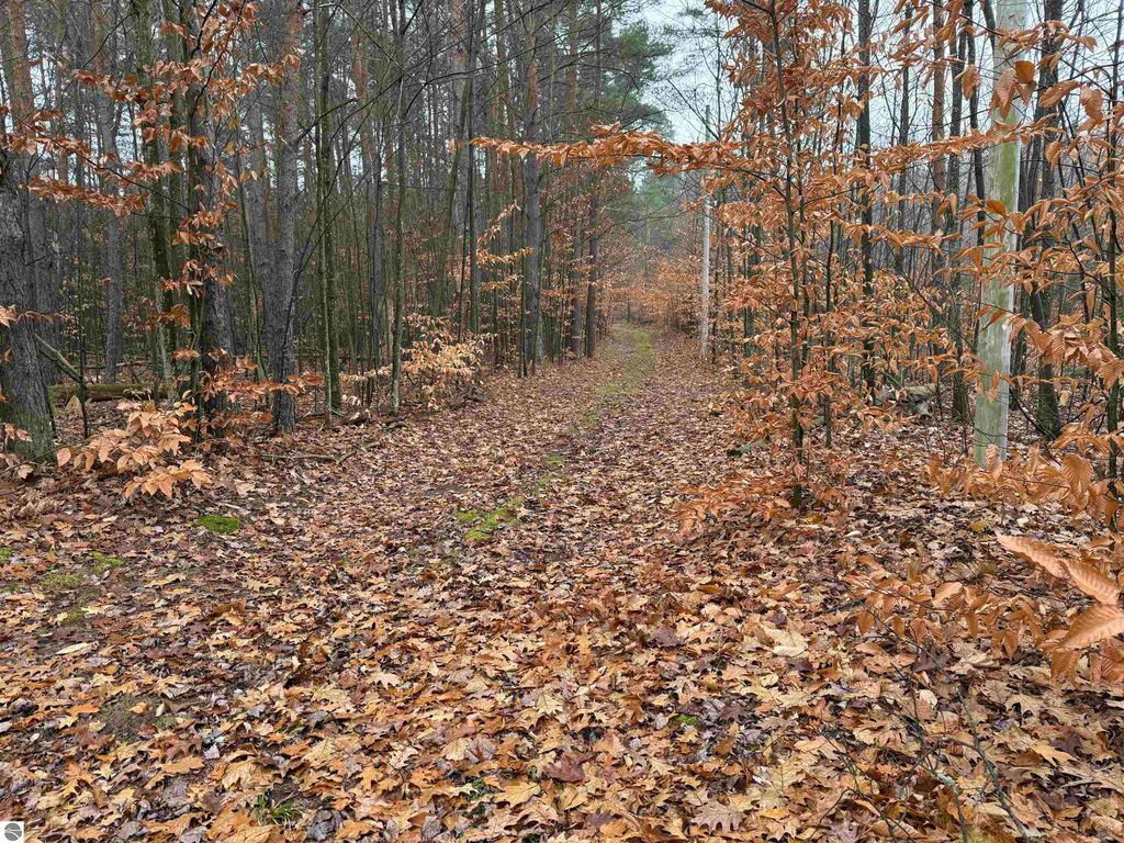 Image 25 of property listing at 9544 W 34 Road, Harrietta, MI 49638