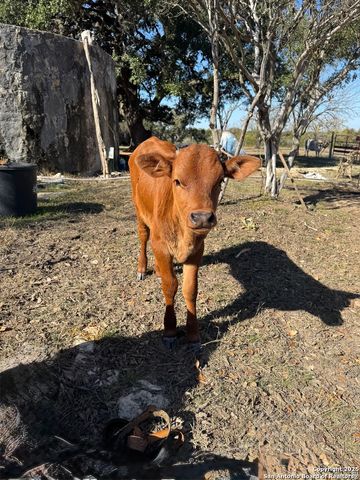 718 Windmill Ridge, Blanco, TX 78606