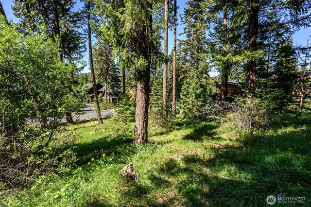 1980 Coal Mine Way, Cle Elum, WA 98922