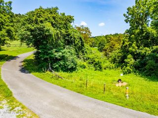 Lot 7 Jeffrey Lane, Talbott, TN 37877
