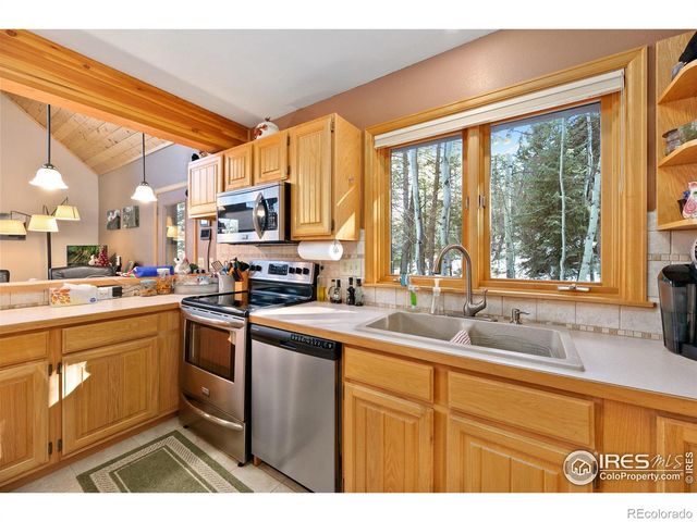 1655 Black Squirrel Drive, Estes Park, CO 80517