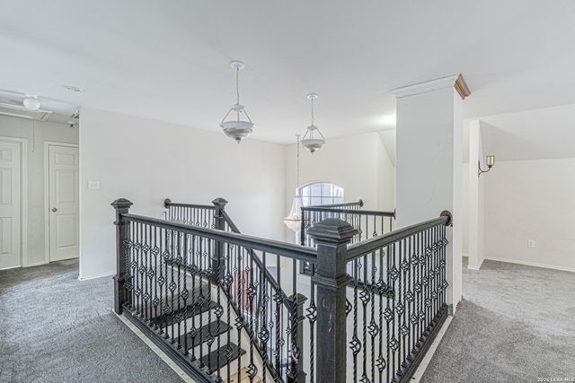 157 NIEMIETZ CV, Cibolo, TX 78108