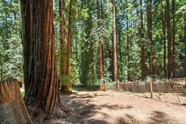 17388 Tressel Pass Road, Boulder Creek, CA 95006