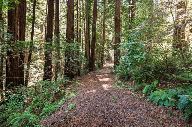 17388 Tressel Pass Road, Boulder Creek, CA 95006