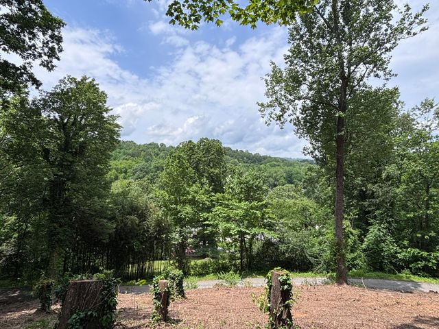 456 Red Oak Drive, Chattanooga, TN 37415