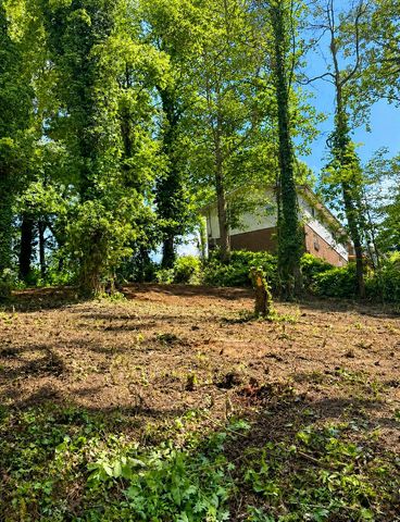 456 Red Oak Drive, Chattanooga, TN 37415