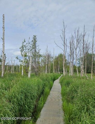 2723 S Pullet Circle, Wasilla, AK 99654