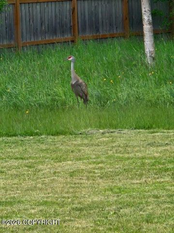 2723 S Pullet Circle, Wasilla, AK 99654