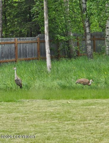 2723 S Pullet Circle, Wasilla, AK 99654