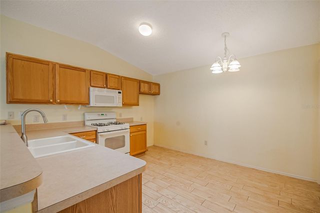 2454 SOUTHERN OAK STREET, The Villages, FL 32162