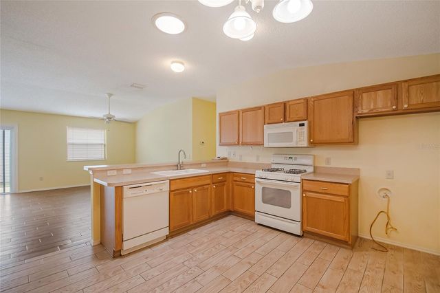 2454 SOUTHERN OAK STREET, The Villages, FL 32162