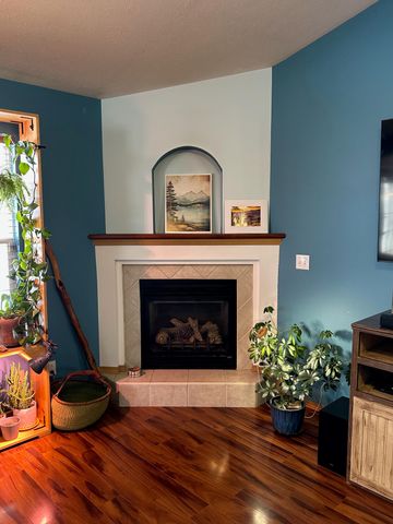 314 W Cherokee Path, Clever, MO 65631