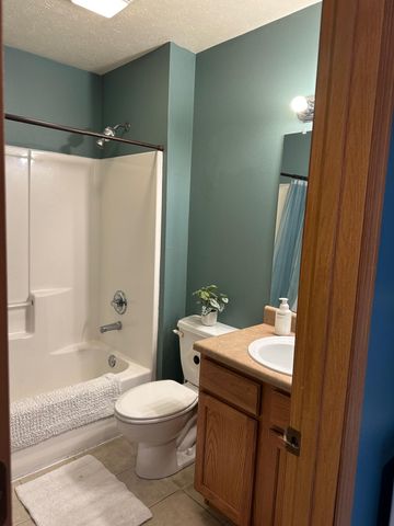 314 W Cherokee Path, Clever, MO 65631