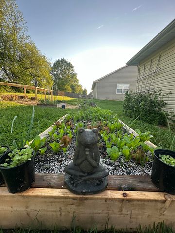 314 W Cherokee Path, Clever, MO 65631