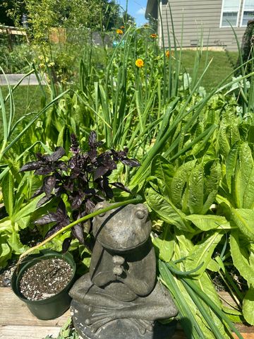 314 W Cherokee Path, Clever, MO 65631