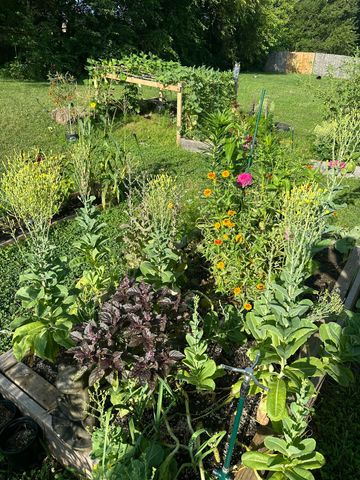 314 W Cherokee Path, Clever, MO 65631