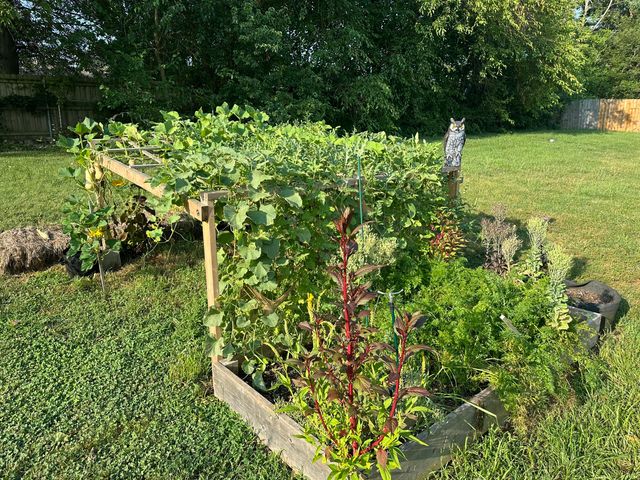 314 W Cherokee Path, Clever, MO 65631