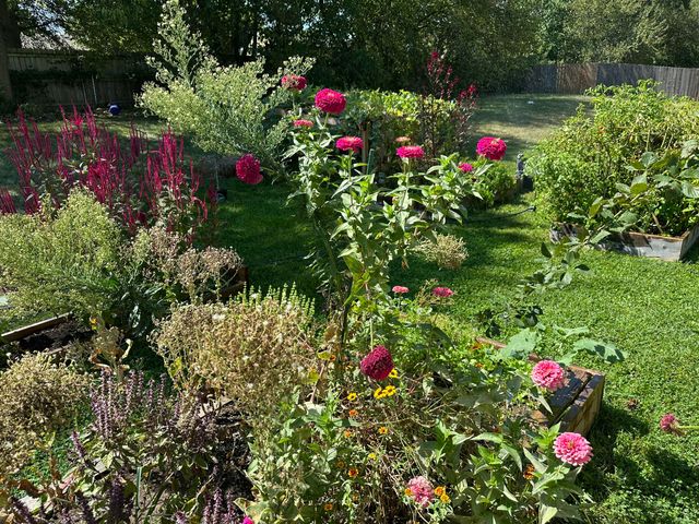 314 W Cherokee Path, Clever, MO 65631