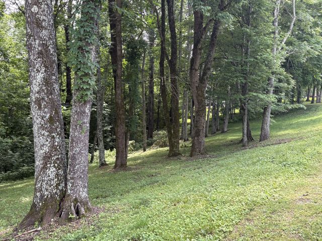 0 Lafever Ridge Rd, Silver Point, TN 38582