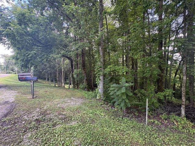 0 Lafever Ridge Rd, Silver Point, TN 38582
