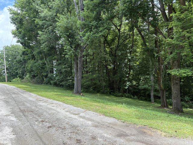 0 Lafever Ridge Rd, Silver Point, TN 38582