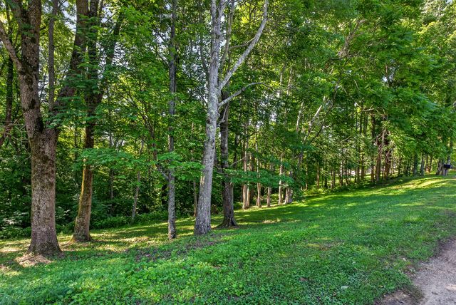 0 Lafever Ridge Rd, Silver Point, TN 38582