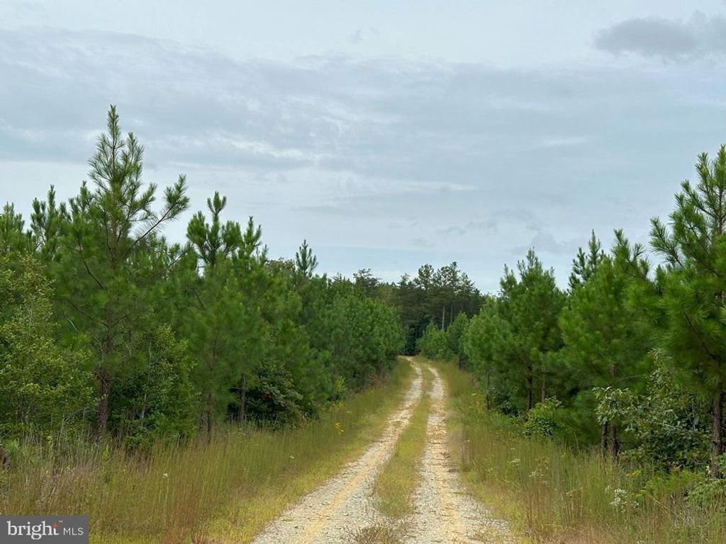 BETHLEHEM ROAD (RT. 636) (TRACT: BETHLEHEM-1), Bowling Green, VA 22427