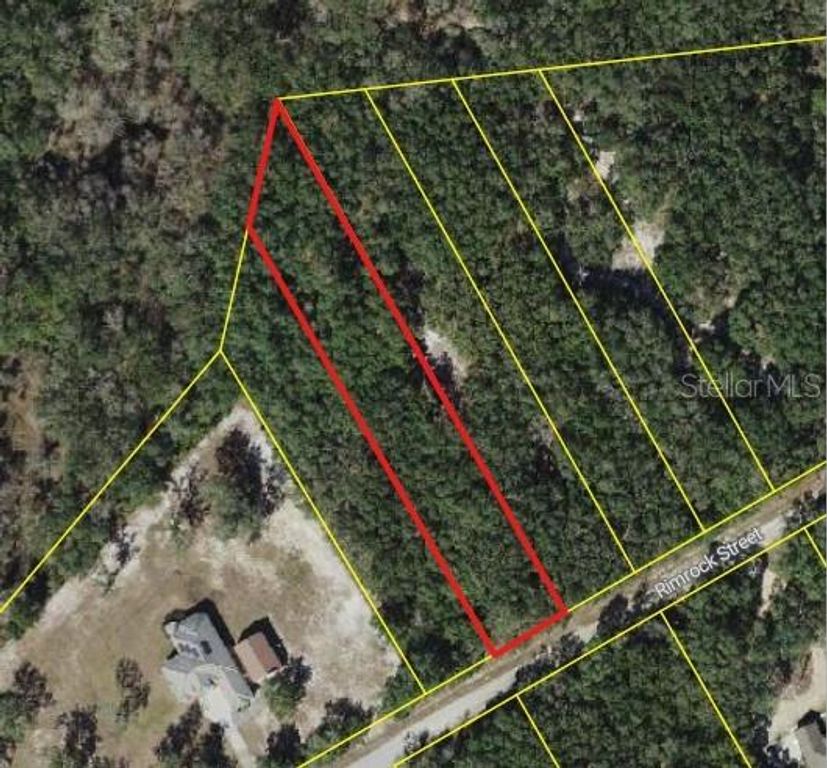 Image 2 of property listing at 0 RIM ROCK, Webster, FL 33597
