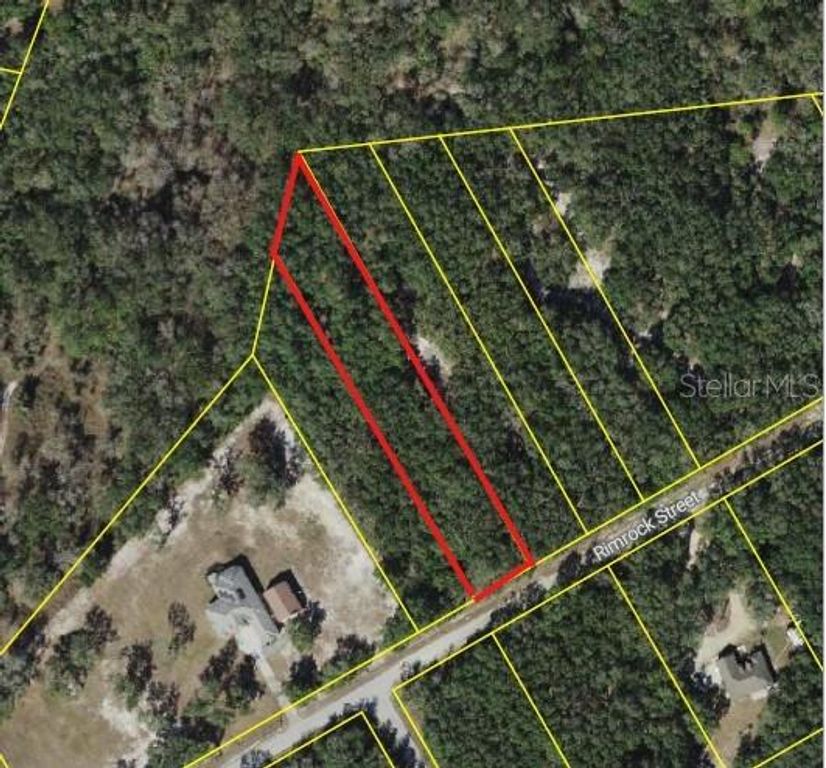 Image 3 of property listing at 0 RIM ROCK, Webster, FL 33597