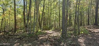 208 Old Furnace Rd, Tellico Plains, TN 37385