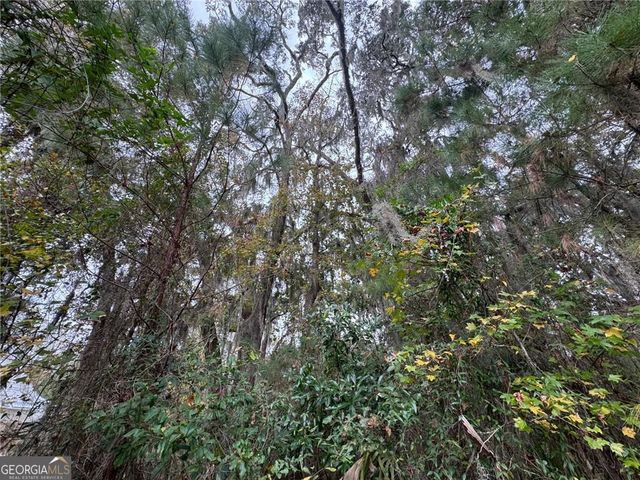 LOT 139 Canopy Lane, Waverly, GA 31565