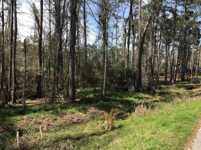 580 Parkview Drive, Onalaska, TX 77360
