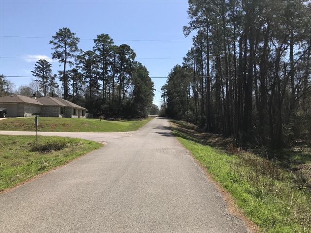 580 Parkview Drive, Onalaska, TX 77360